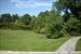 Open lawn