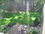 large yard