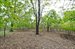 1.6 acres
