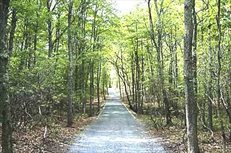 1168 Brick Kiln Road, Sag Harbor