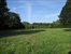 lawns