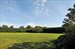 lawn