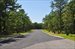 New rroads and belgium block curbing installed