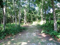 Sag Harbor