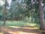 Lot 6 of Subdivision