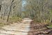 Road past property