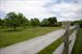 orchard