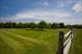 orchard