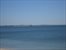 Bug Light in the Distance