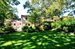 Beautiful Rear Yard