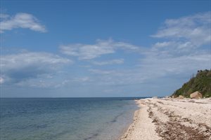 East Marion Sound Front On Nearly 11 Acres, East Marion