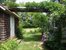 Lush plantings