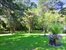 Park-like Grounds