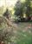 landscaped yard