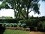 mature landscaping with detail