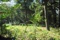 351 Brick Kiln Road