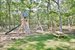 New swing set