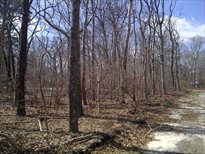 Quogue