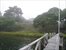 View from Dock