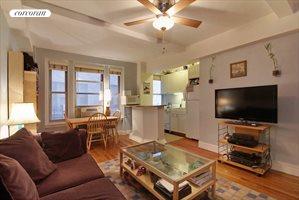 325 West 45th Street, Apt. 305, Clinton