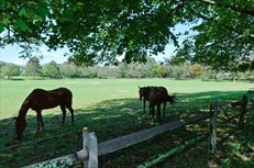 8 Clover Leaf Lane, East Hampton