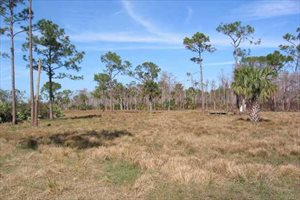 2986 SW Trailside Path, Stuart