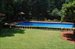 hedge around pool