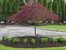 Beautiful landscaping