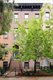 491 3rd Street
