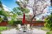 Beautifully Kept Common Garden