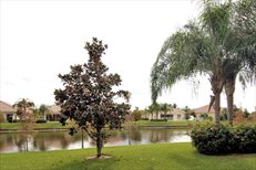 8072 Jolly Harbour Court, Wellington